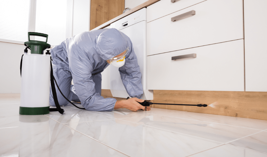 TERMITE CONTROL